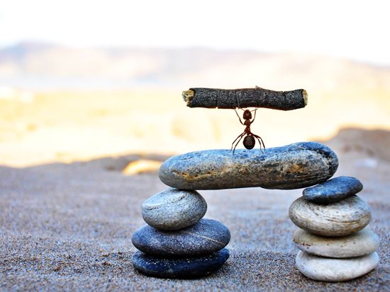 陈平到菏泽高新区调研重点项目建设